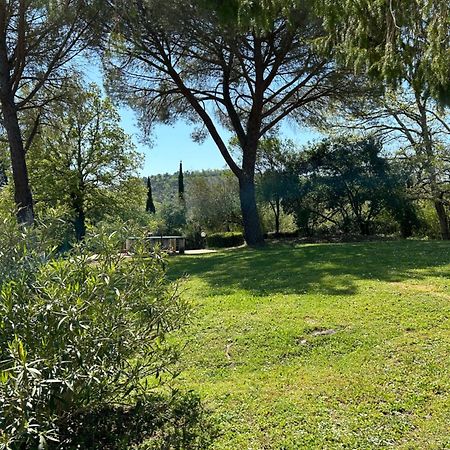 Campo Di Carlo Konuk evi Sassetta Dış mekan fotoğraf