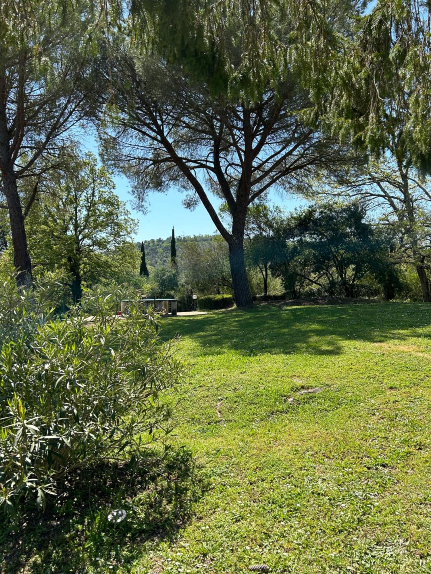 Campo Di Carlo Konuk evi Sassetta Dış mekan fotoğraf